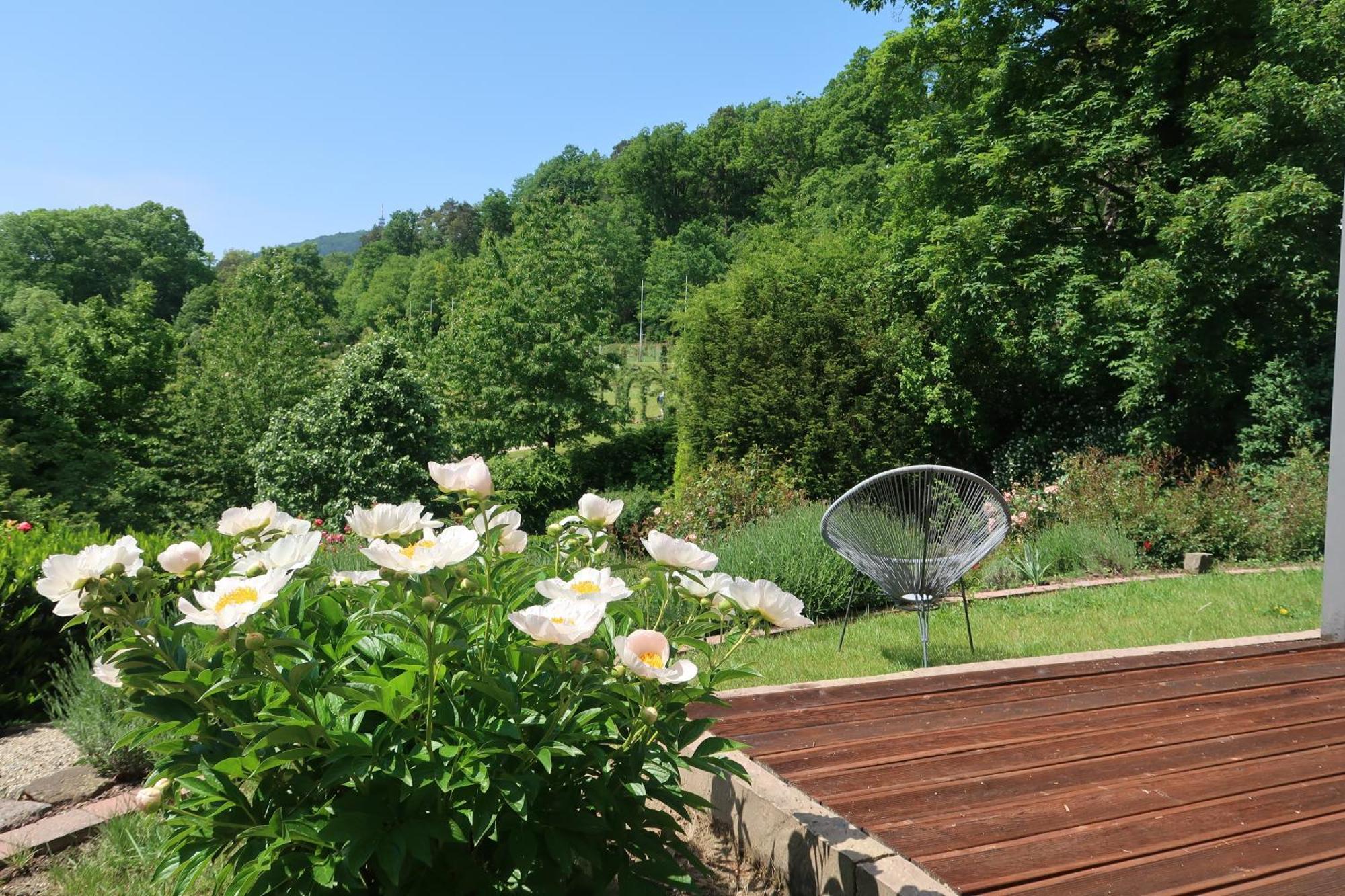 Apartment Im Rosentraum Mit Privater Terasse Baden-Baden Dış mekan fotoğraf